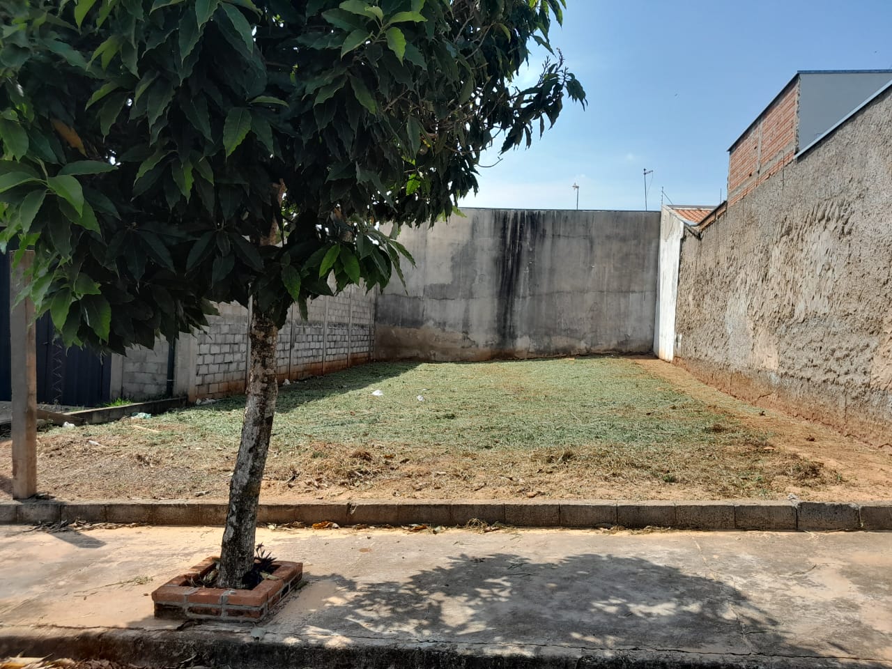 LOTE 001 07 10