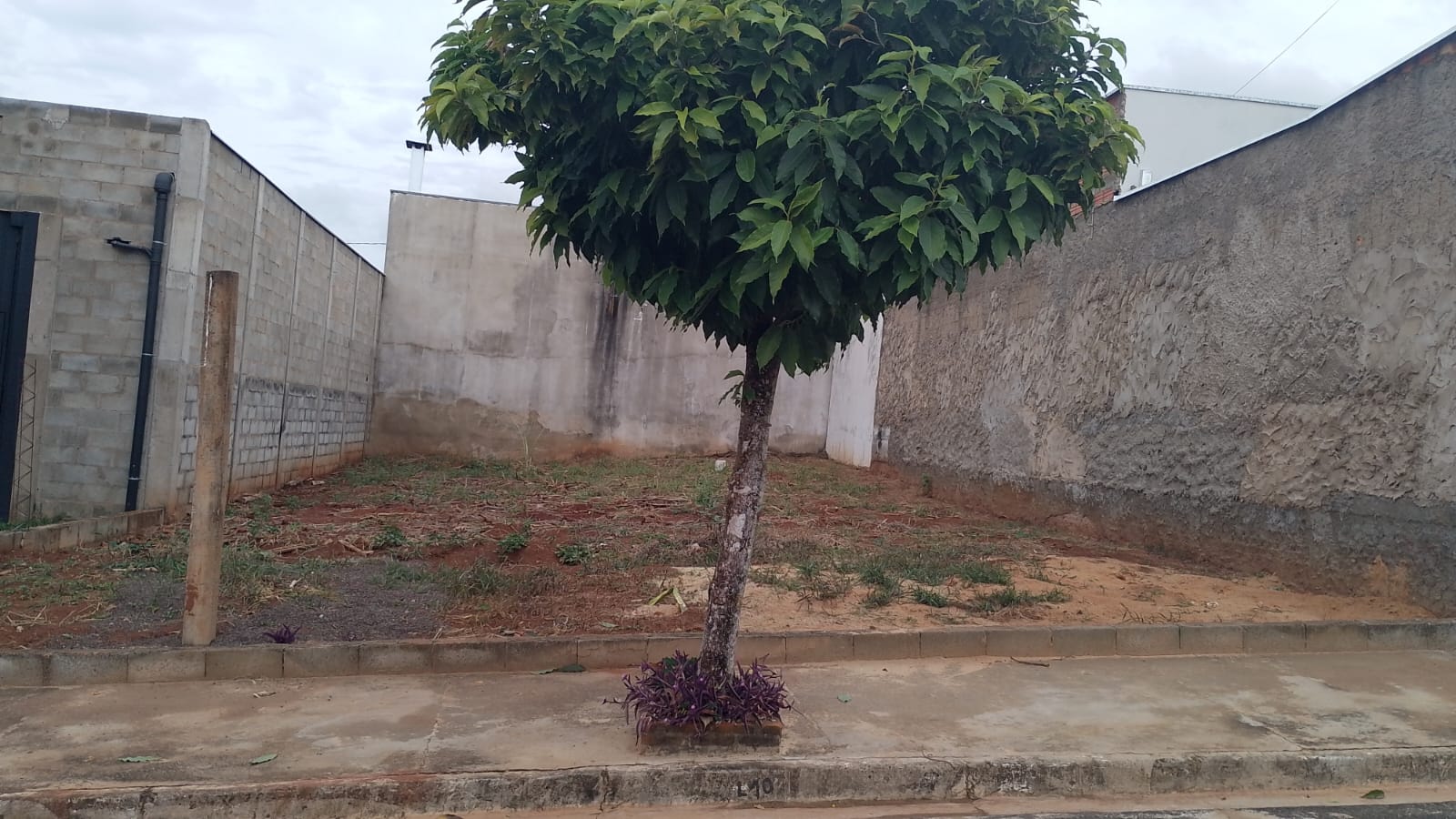 LOTE 001 07 10