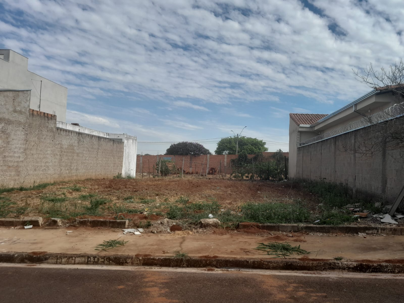 LOTE 002 14 239