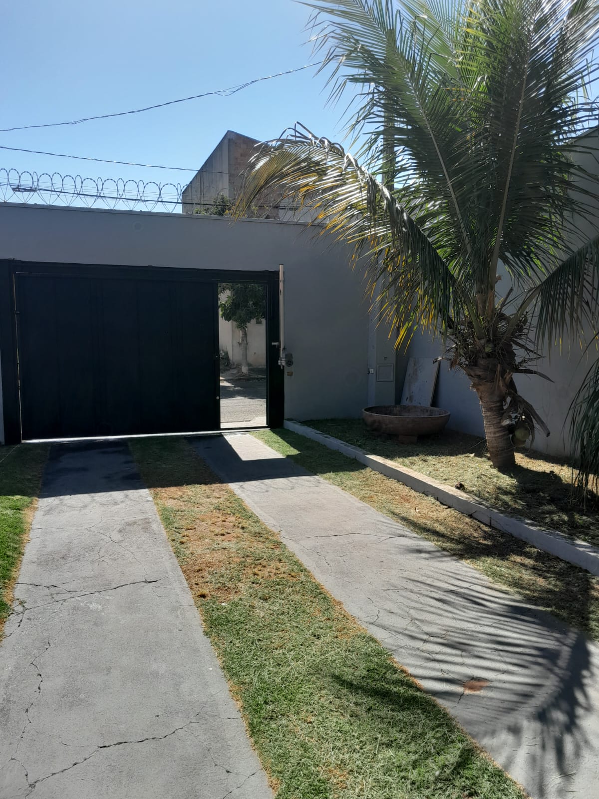 LOTE 002 13 204