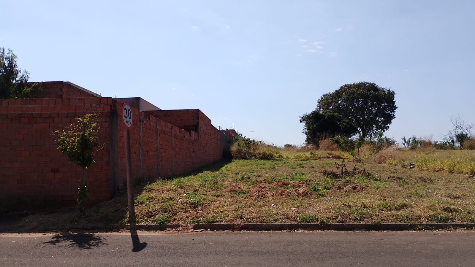 LOTE 003 11 209