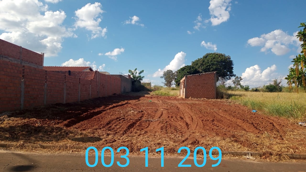 LOTE 003 11 209