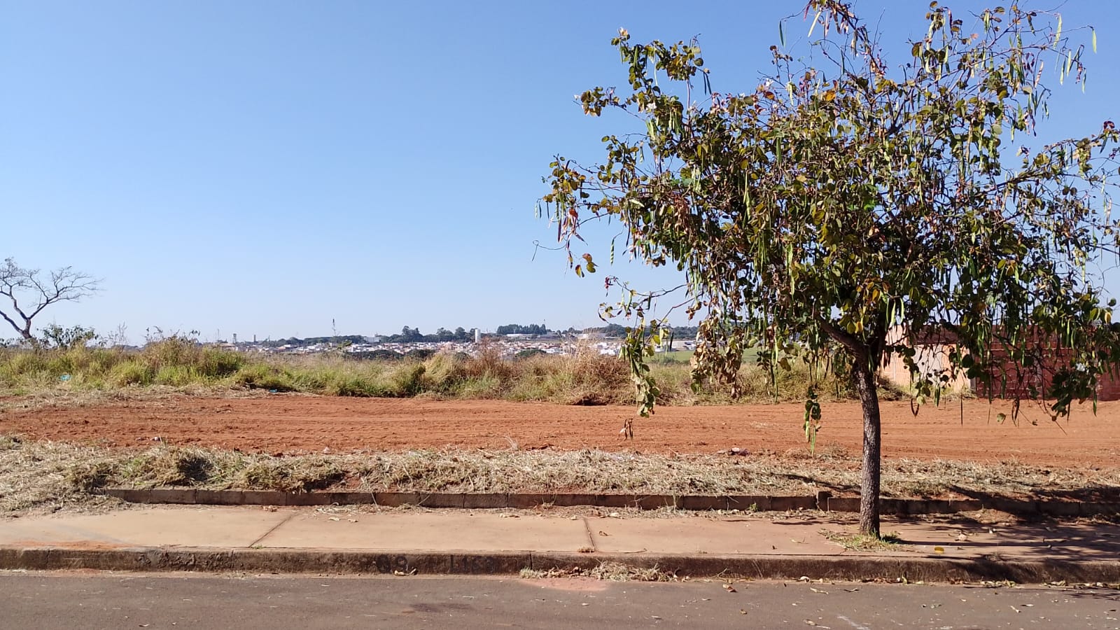 LOTE 003 09 163