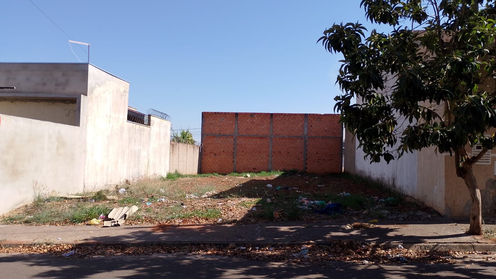 LOTE 003 12 217