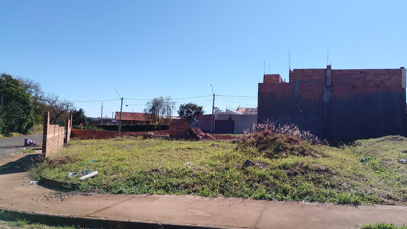 LOTE 003 17 316